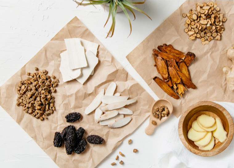 關於壽山生物科技製藥廠